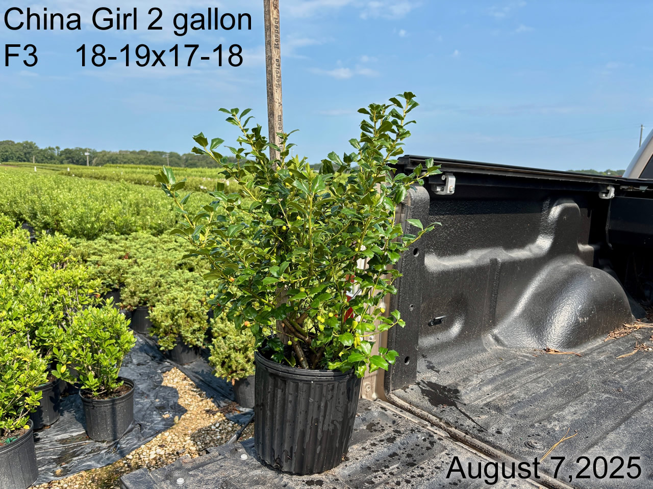 gallery/cg2 f3 aug25.jpg